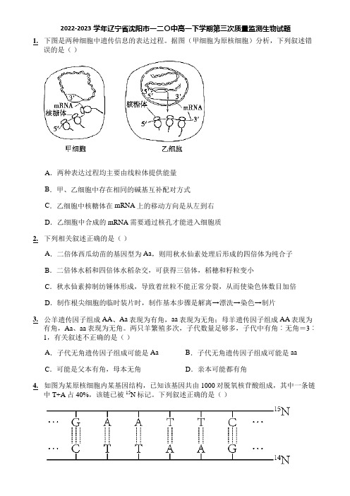 2022-2023学年辽宁省沈阳市一二〇中高一下学期第三次质量监测生物试题