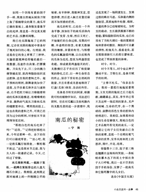南瓜的秘密