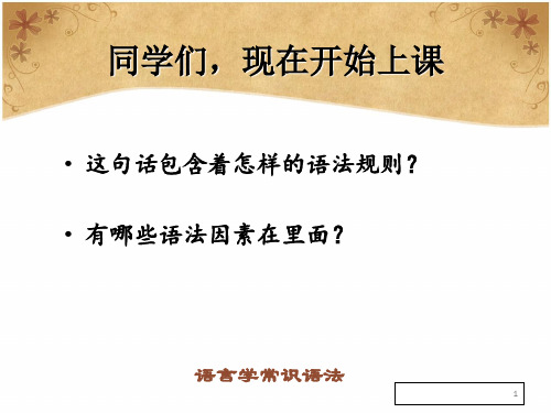 大学现代汉语语言学常识语法篇