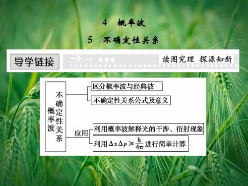 17-4.5 概率波 不确定性关系课件 新人教版选修3-5课件