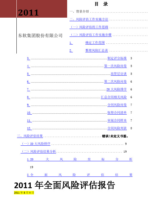 Neusoft风险评估报告