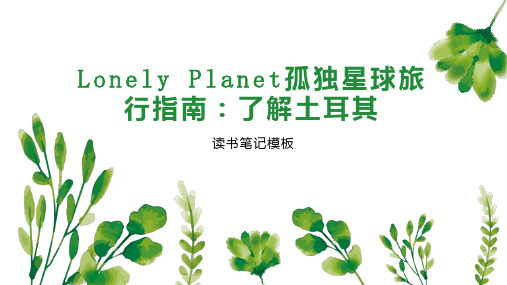 Lonely Planet孤独星球旅行指南：了解土耳其