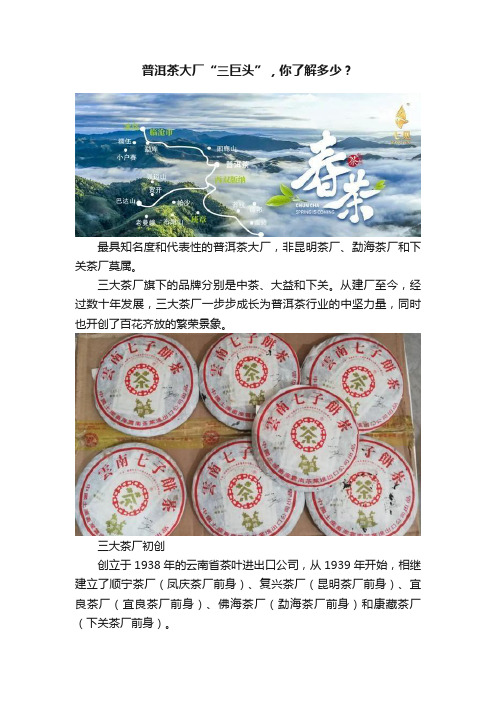 普洱茶大厂“三巨头”，你了解多少？