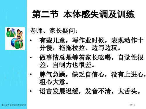 本体觉失调和训练专家讲座