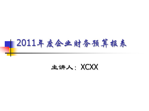 2020年度企业财务预算报表