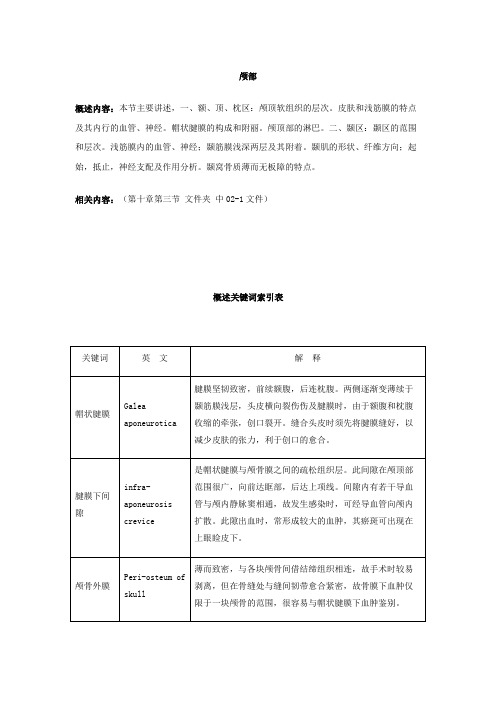 颅顶软组织的层次。皮肤和浅筋膜的特点及