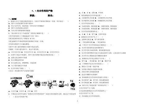 初二生物光合作用的产物习题