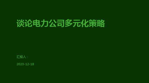 谈论电力公司多元化策略