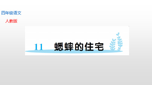 部编版语文四年级上册11 蟋蟀的住宅_2