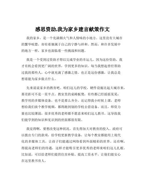 感思资助,我为家乡建言献策作文