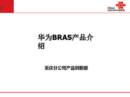 华为BRAS产品简要介绍(ppt 28页)