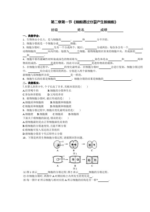 人教版七上第二单元第二章细胞怎样构成生物体学案