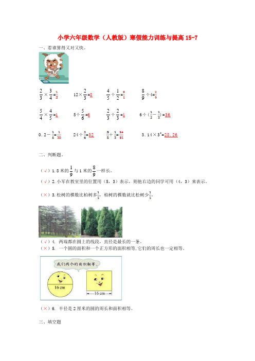 六年级数学寒假能力训练与提高15-7 人教版