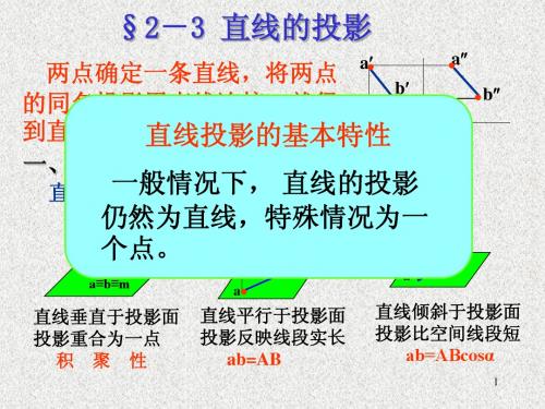 2 第二章 正面投影法基础(3 直线的投影)
