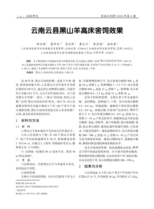 云南云县黑山羊高床舍饲效果