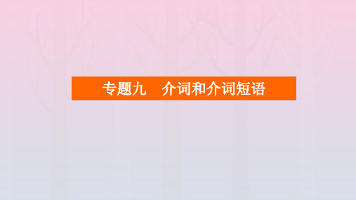 (老高考适用)2023高考英语一轮总复习 第二编 语法突破 专题九 介词和介词短语课件 北师大版