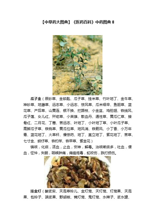 【中草药大图典】《医药百科》中药图典8