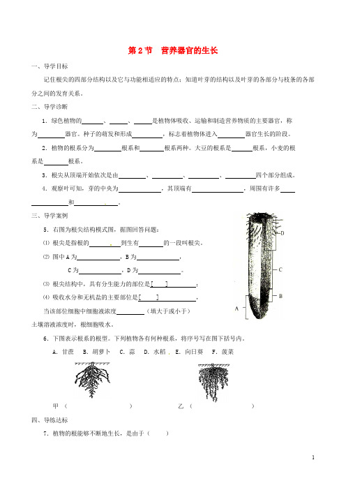 七年级生物上册 3.6.2 营养器官的生长学案 北师大版