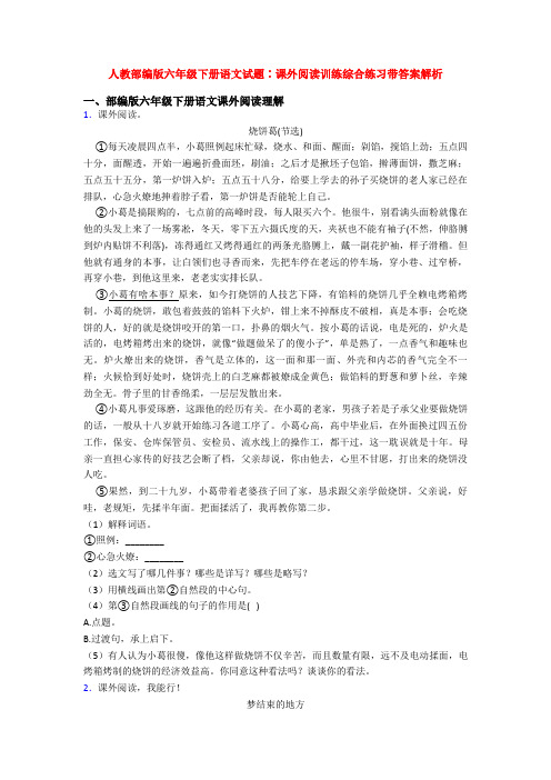 人教部编版六年级下册语文试题∶课外阅读训练综合练习带答案解析