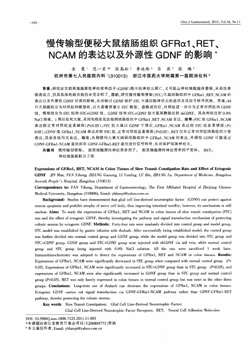 慢传输型便秘大鼠结肠组织GFRα1、RET、NCAM的表达以及外源性GDNF的影响