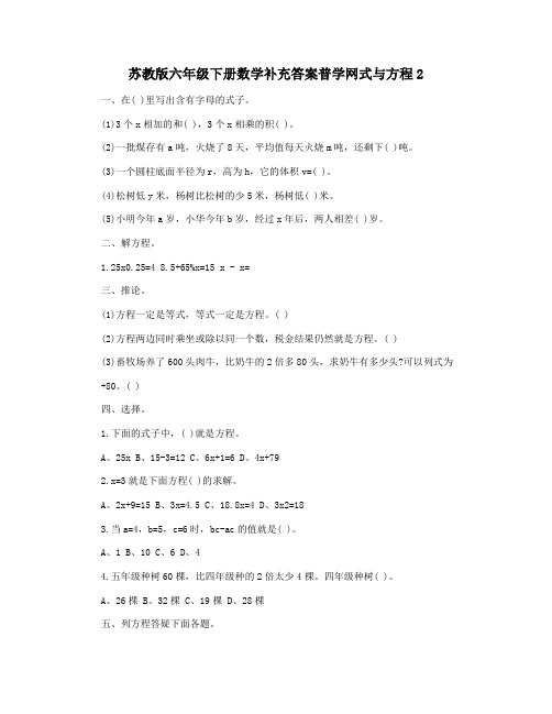 苏教版六年级下册数学补充答案普学网式与方程2