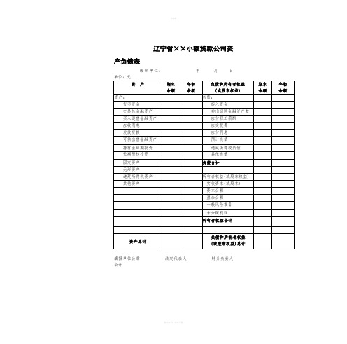 小额贷款公司财务报表4份