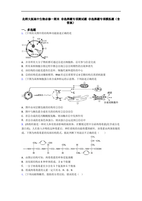 北师大版高中生物必修一期末 非选择题专项测试题 非选择题专项模拟题(含答案)