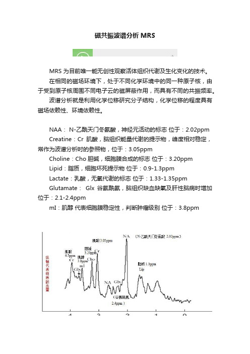 磁共振波谱分析MRS