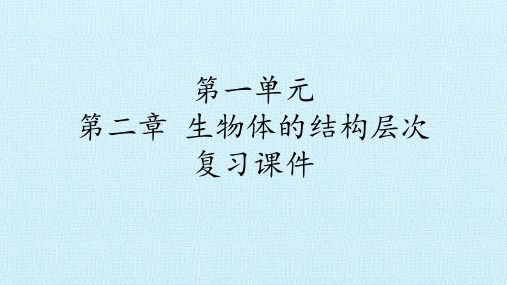 冀少版七年级生物上册：第二章  生物体的结构层次  复习课件