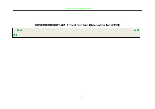 CPOT评分表