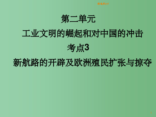 高考历史一轮复习讲议 2.3 新航路的开辟及欧洲殖民扩张与掠夺 岳麓版