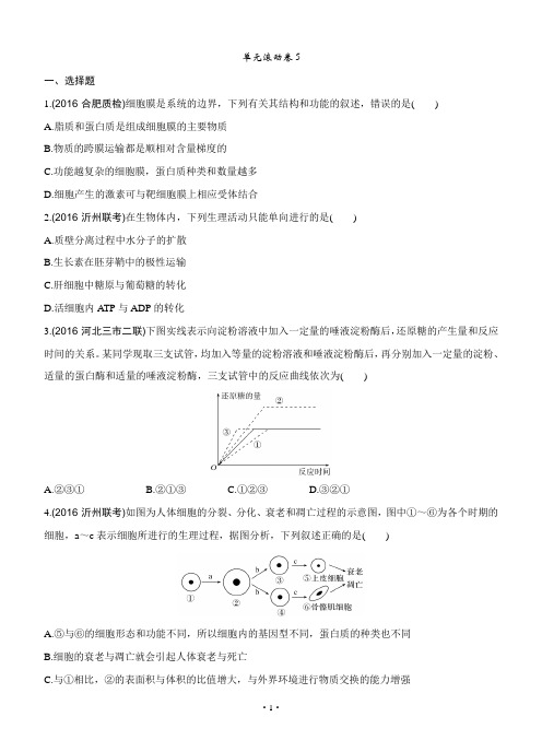 2017版《188套重组优化卷》高考生物一轮训练：单元滚动卷5