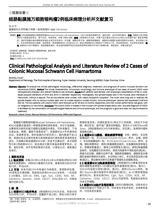 结肠黏膜施万细胞错构瘤2例临床病理分析并文献复习