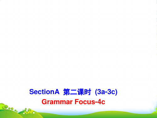 新人教八年级英语下 Unit 2 第二课时(3a-3c)( Grammar Focus-4c)-