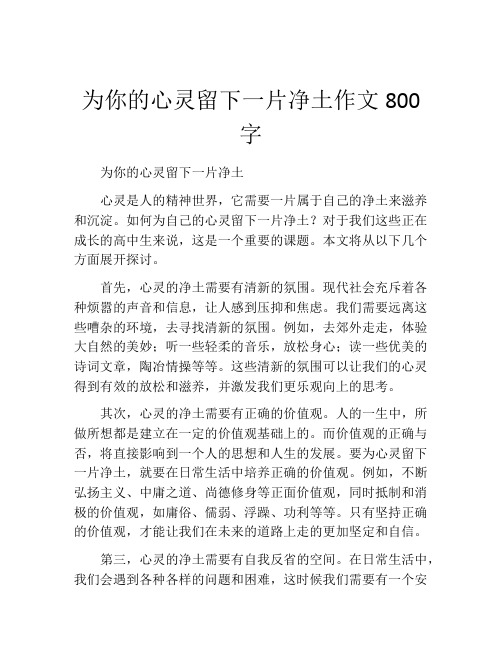 为你的心灵留下一片净土作文800字