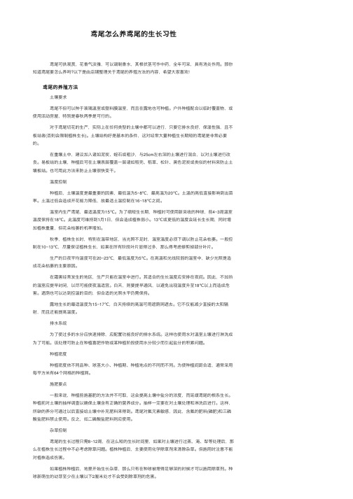 鸢尾怎么养鸢尾的生长习性