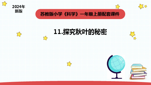 3.3.《探究秋叶的秘密》课件(共15张PPT) 2024新版苏教版一年级科学上册