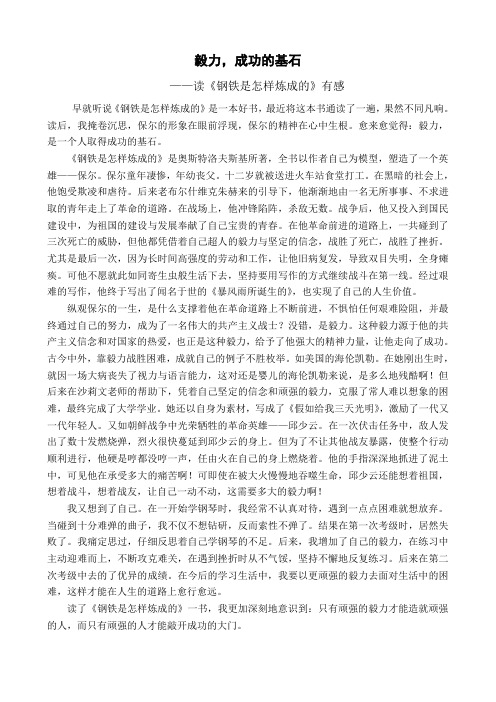 毅力,成功的基石——读《钢铁是怎样炼成的》有感