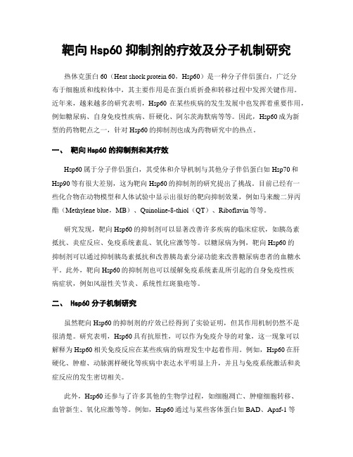 靶向Hsp60抑制剂的疗效及分子机制研究