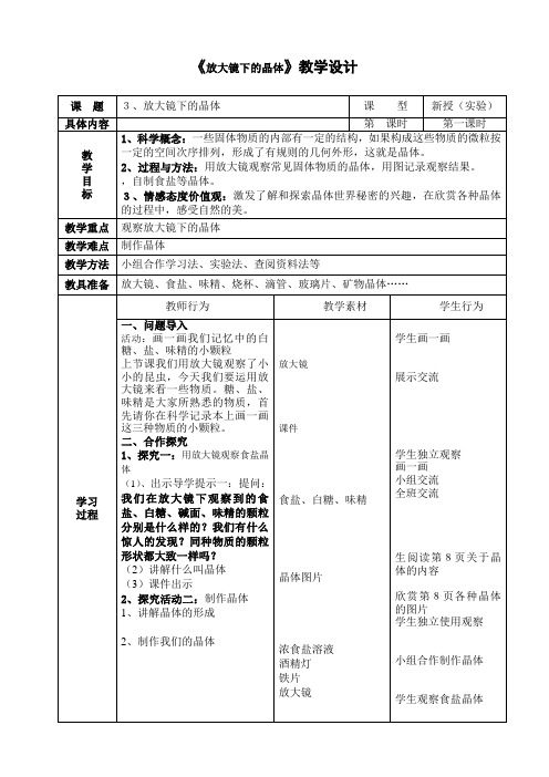 《放大镜下的晶体》教学设计