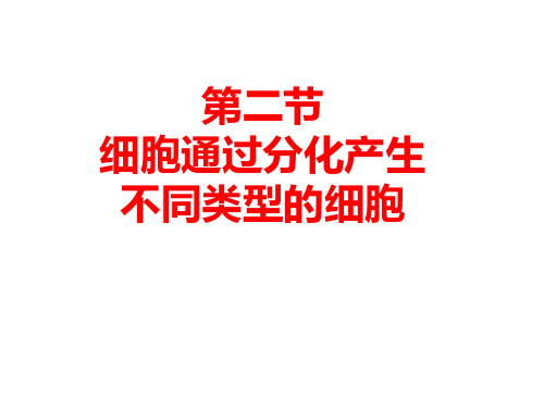 浙科新版高中生物必修1(新课课件)：细胞通过分化产生不同类型的细胞