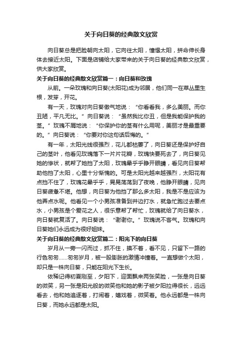 关于向日葵的经典散文欣赏