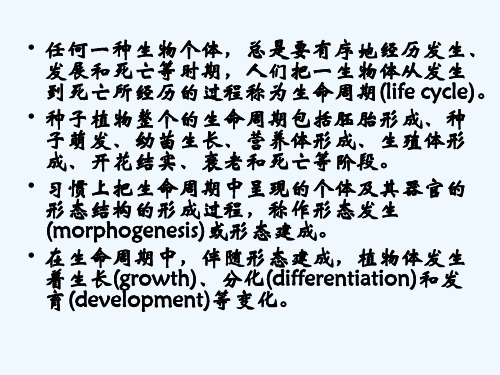 中国科学院大学植物生理学课件：第十章植物的生长生理