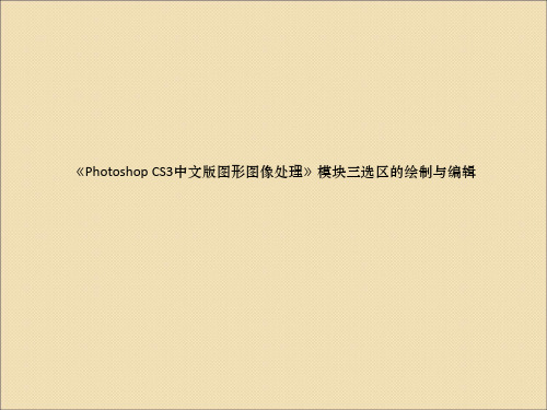 《Photoshop CS3中文版图形图像处理》模块三选区的绘制与编辑