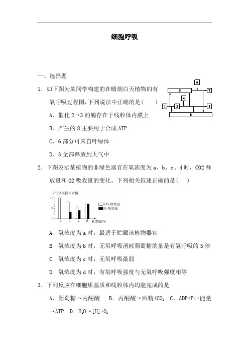 最新高中生物-高一生物细胞呼吸检测试题38 精品