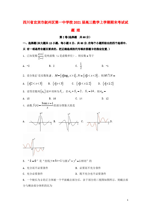 四川省宜宾市叙州区第一中学校2021届高三数学上学期期末考试试题 理