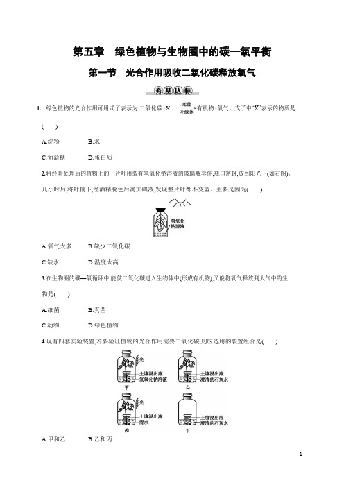 人教版七年级生物上册《3-5-1 光合作用吸收二氧化碳释放氧气》作业同步练习题及参考答案