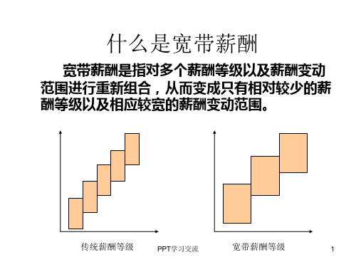 薪酬激励薪酬激励体系宽带薪酬设计及案例大全课件