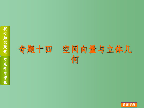 高考数学二轮复习 专题十四 空间向量与立体几何 理