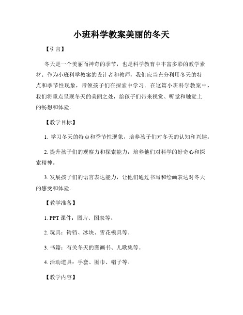 小班科学教案美丽的冬天